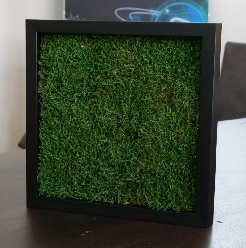 Flachmoos 30cm x 30cm